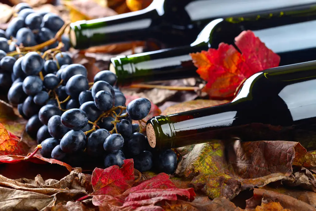 фото новости